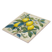 レモン地中海のサマーシトラス タイル (側面)
