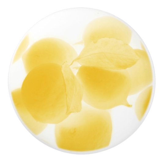 レモン夢 セラミックノブ (正面)