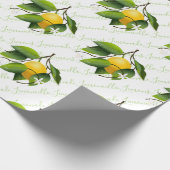 レモン果実植物学 ラッピングペーパー (角)