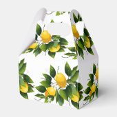 レモン柑橘類フルーツグリーン フェイバーボックス (裏面サイド)