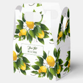 レモン柑橘類フルーツグリーン フェイバーボックス (オープン)