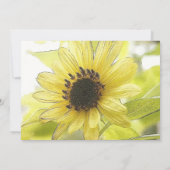 レモン独身の色のヒマワリ 招待状 (裏面)
