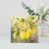 レモン絵画ズ (スタンド正面)