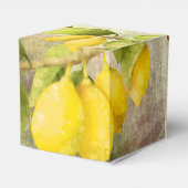 レモン絵画ズ フェイバーボックス (裏面サイド)