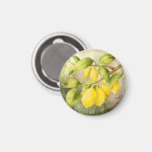 レモン絵画ズ マグネット (正面/裏面)