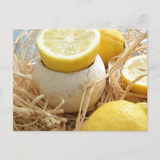 レモン葉書 ポストカード (正面)