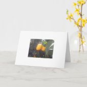 レモン？ カード (黄色い花)