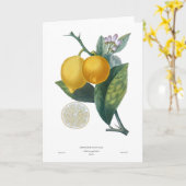 レモン カード (黄色い花)