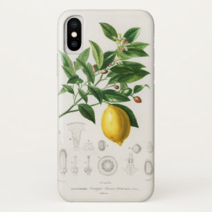レモン シトラス フルーツ ボタニカル リモニウム イラスト iPhone X ケース