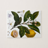 レモン ジグソーパズル (横)