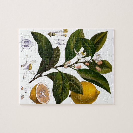 レモン ジグソーパズル (横)