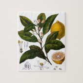 レモン ジグソーパズル (縦)