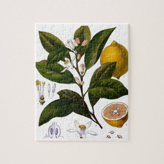 レモン ジグソーパズル (縦)