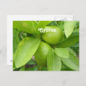 レモン ツリー ポストカード (正面/裏面)