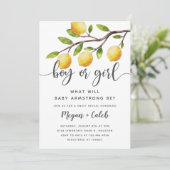 レモン テーマ 性別発表 サマー パーティー  招待状 (スタンド正面)