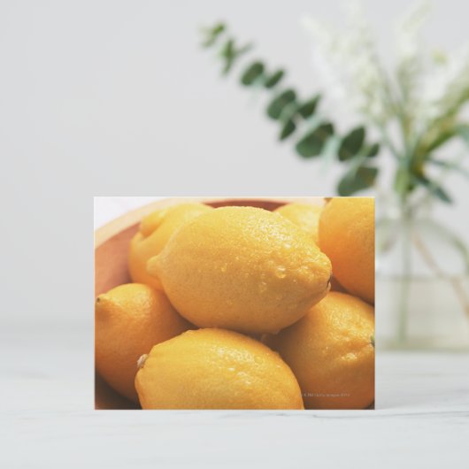 レモン ポストカード (スタンド正面)