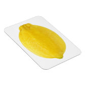 レモン マグネット (右側)