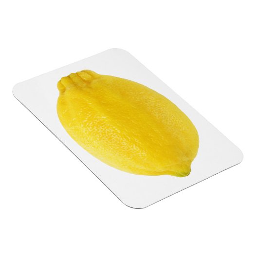 レモン マグネット (右側)