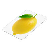 レモン マグネット (左側)