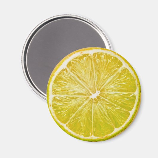 レモン マグネット (正面/裏面)