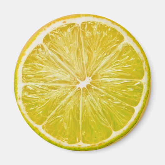 レモン マグネット (正面)