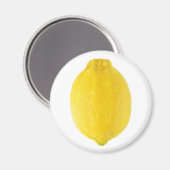レモン マグネット (正面/裏面)