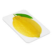 レモン マグネット (右側)