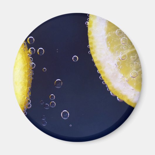 レモン マグネット (正面)