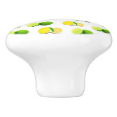 レモン、ライムおよびオレンジ切れの食器棚のノブ セラミックノブ (側面)