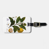 レモン ラゲッジタグ (正面横)