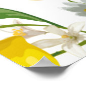 レモン、彼女はメインスクイーズのウェルカムサインを見つけた ポスター (角)