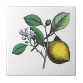 レモン、果物、花 タイル (正面)
