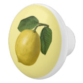 レモン~植物性フルーツ~任意の背景色~ セラミックノブ (右)