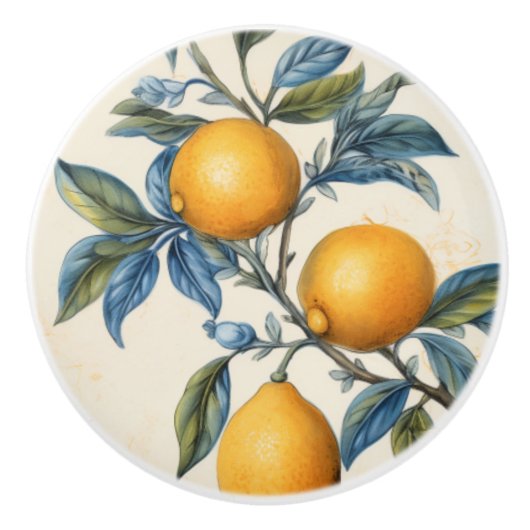 レモ地中海のングローブ セラミックノブ (正面)