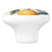 レモ地中海のングローブ セラミックノブ (側面)