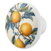 レモ地中海のングローブ セラミックノブ (右)