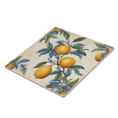 レモ地中海のングローブ タイル (側面)