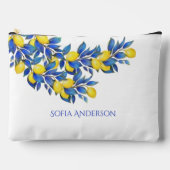 レモ地中海のンス アクセサリーポーチ (正面)