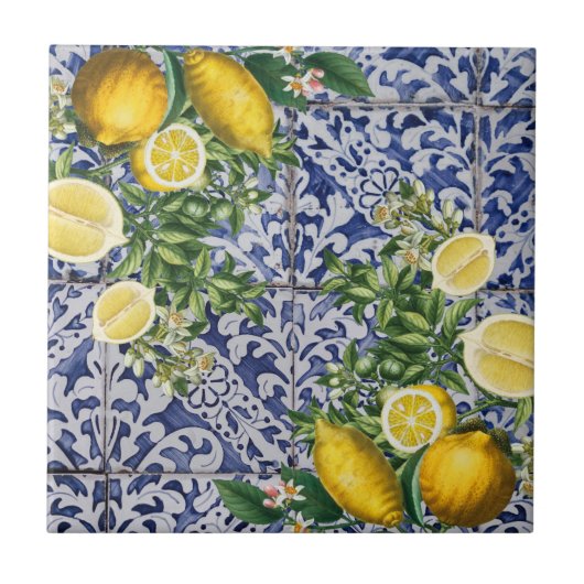 レモ地中海のンズサマーポルトガルのタイル タイル (正面)