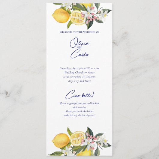 レモ地中海のン式結婚の プログラム (正面)