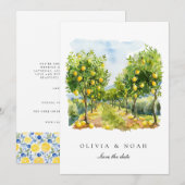 レモ地中海のン日付のカー結婚ドを保存 案内状 (正面/裏面)