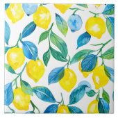 レモ地中海のン タイル (正面)