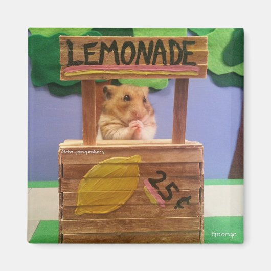 レモ買ネードは？お願かわいらしい？ マグネット (正面)