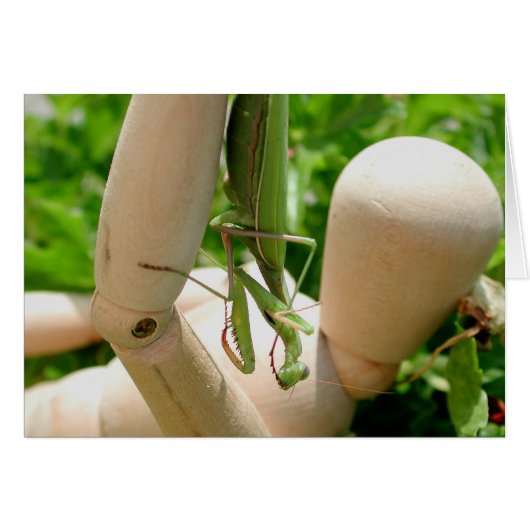 レリオーサ (正面横)