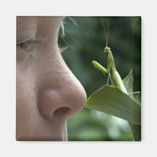 レリオーサ マグネット (正面)