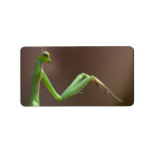 レリオーサ ラベル (正面)