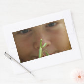 レリオーサ 長方形シール (封筒)