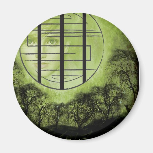 レルム幽霊のよく出るマグネット マグネット (正面)