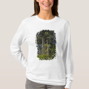 レワ川沿い熱帯雨林 ガイアナ Tシャツ
