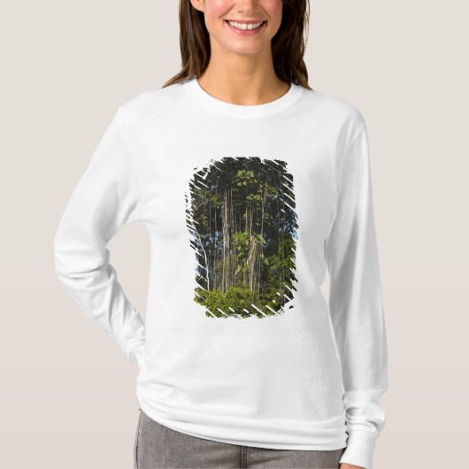 レワ川沿い熱帯雨林 ガイアナ Tシャツ (正面)